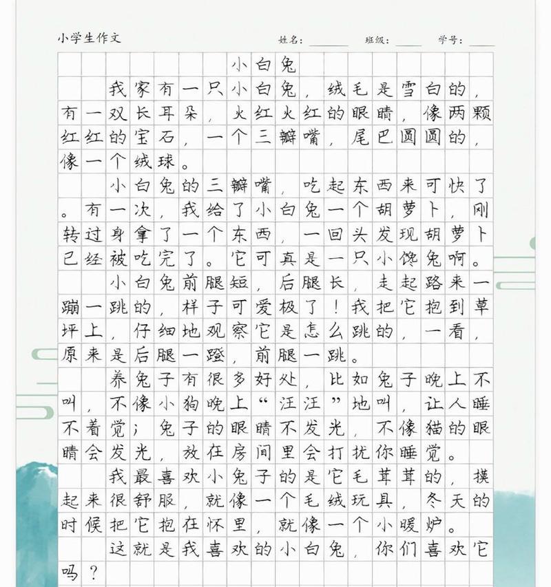（《兔子的奇遇记》）