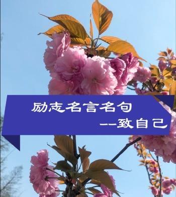 坚持不懈，才能成就梦想（用唯美句子告诉你如何坚持）