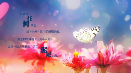 幸福的花语（绽放在心间的美好）
