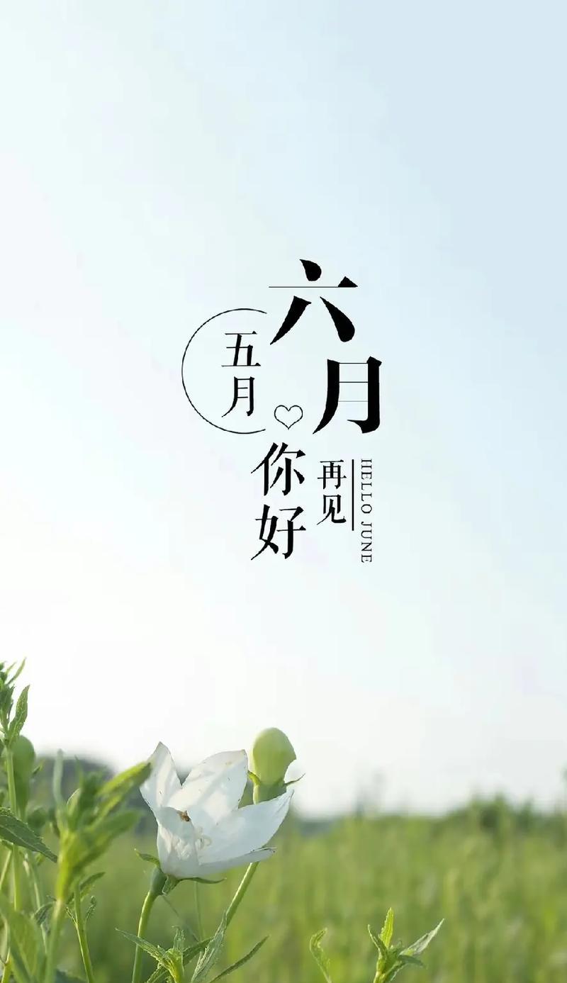 《你好五月》——用唯美短句品味美好生活