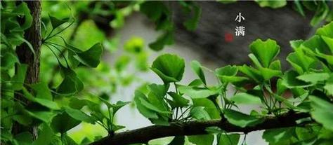 领悟自然之美（领悟自然之美）