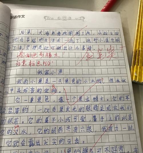 以亲爱的同桌为话题的作文怎么写（《一次偶然的相遇，一个永恒的故事》）
