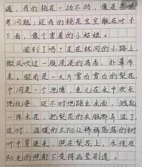 清香甜美是什么意思（《甜美的清香》）