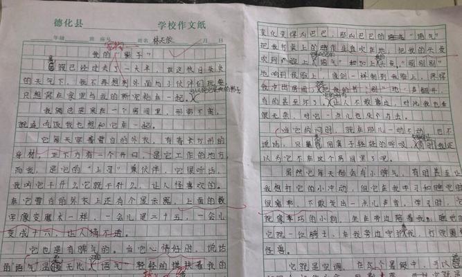开启梦想之旅是什么意思（《追寻梦想的路》）