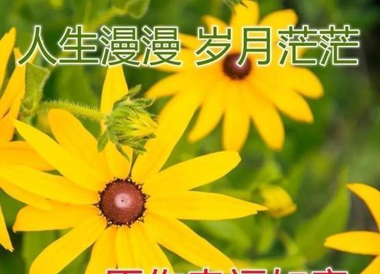 快乐与幸福的奇妙旅程