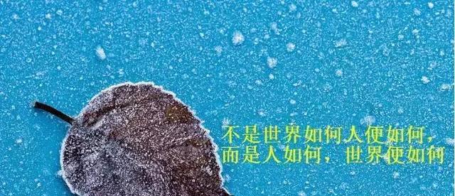 逆境中的美好生活（130句以抗击疫情朋友圈心情说说）