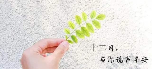 2024年最后一个月的心情（岁末时光）