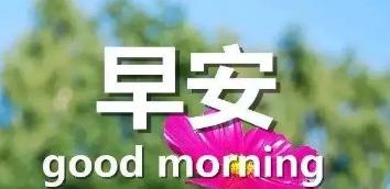 一句笑容满面的早安，温暖一天的开始（用唯美短句）