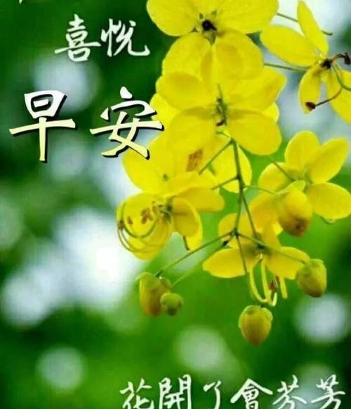 25个短句，唯美神来之笔（25个短句）