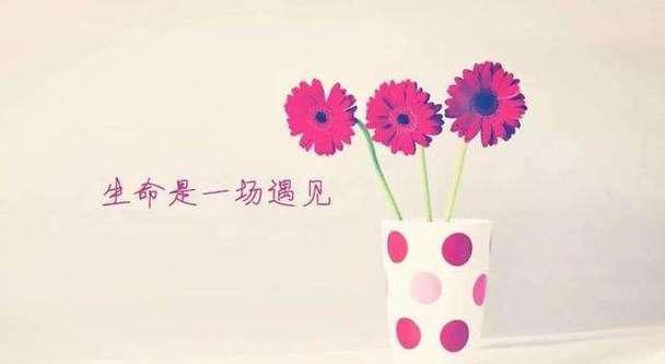 幸福的琐碎（从琐碎的生活中感受幸福）