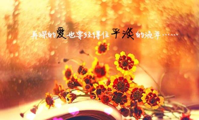 一抹绝美的光芒（唯美短句的魅力）