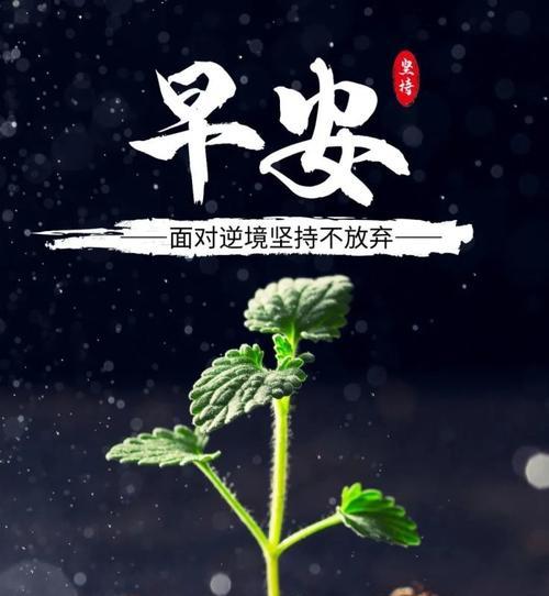 点亮九月，播撒正能量（阳光点亮人生）