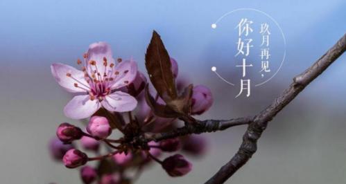 金秋交替，季节变幻（金秋交替）