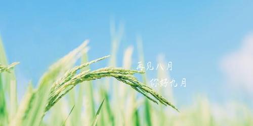 九月你好，迎接新的开始（用美好的短句）