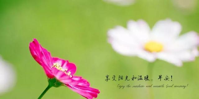 唯美短句传递的心灵之语（唯美短句传递的心灵之语）