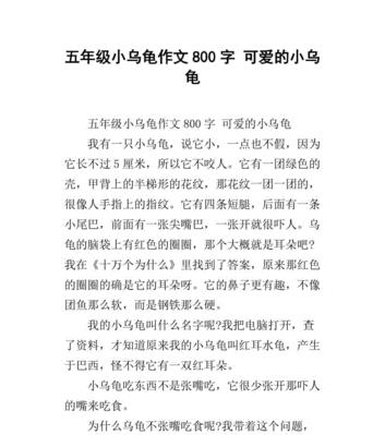有关可爱的小乌龟的作文怎么写（《小乌龟的奇幻旅程》）