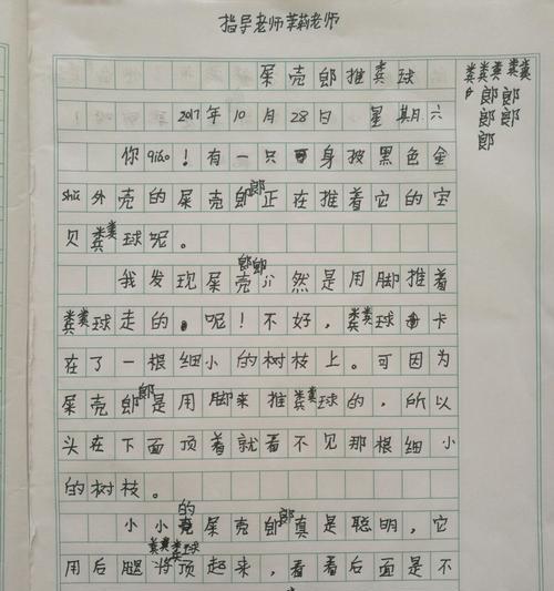 观察一种事物400字作文（《寻找翠绿蝶舞——2024蝴蝶观察记叙》）