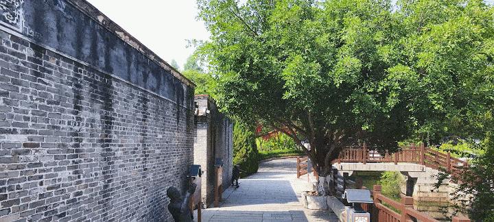 以故乡里的端午节为话题的作文怎么写（《龙舟竞渡，端午欢腾》）