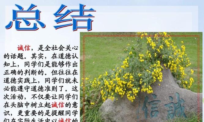 以诚信与善良的谎言为话题的作文怎么写（《以诚信与善良为底色的谎言》）