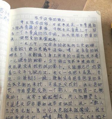 回家路上的作文该怎么写（《初中生的成长故事》）