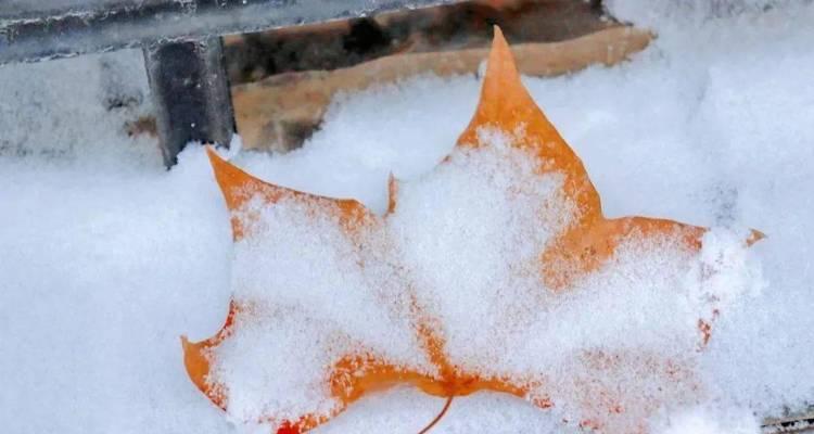初雪来临如何用句子描绘？2023年唯美初雪句子有哪些？