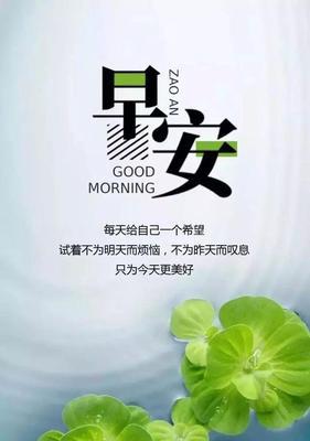 2023每日早安正能量简单一句话是什么？如何用一句话传递正能量？