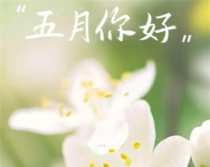 2023六月你好朋友圈唯美说说句子怎么写？有哪些句子推荐？