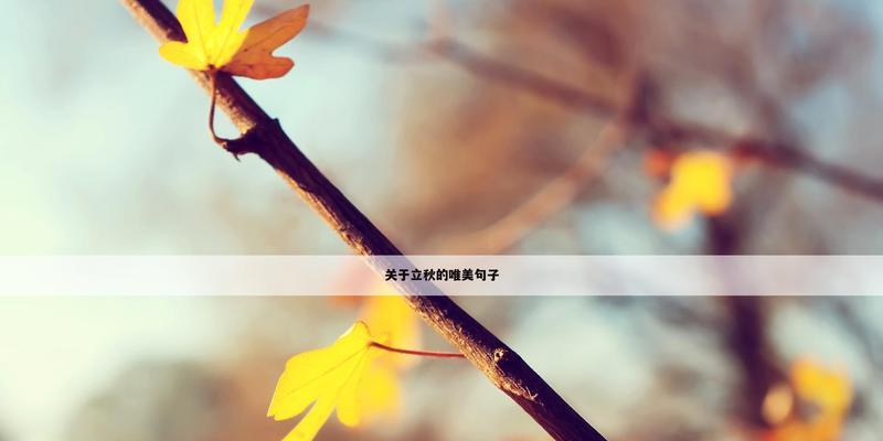 2023励志毕业说说82条有哪些？如何激励毕业生？