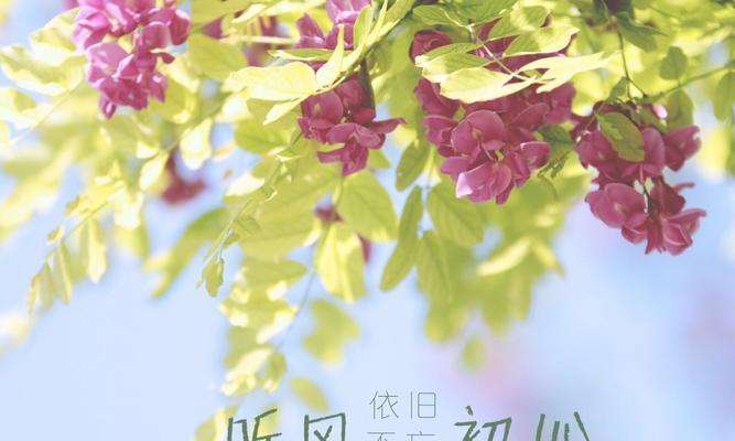 2023立夏好句好段摘抄有哪些？如何在写作中巧妙运用？