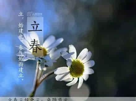 2023立春空间祝福语说说语录怎么写？有哪些创意示例？