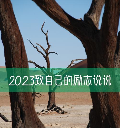 2023跨年夜说说句子怎么写？有哪些创意灵感？
