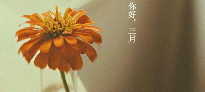 一月再见二月你好励志好句句子有哪些？如何用好句激励自己？