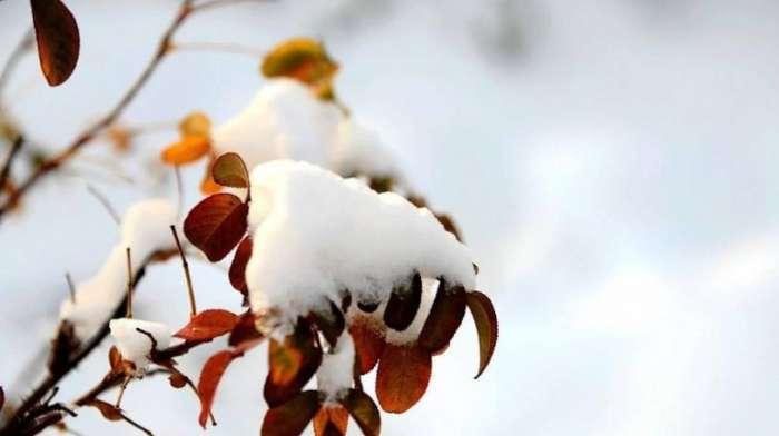 如何用诗句迎接2023年的初雪？初雪到来时有哪些美好句子？