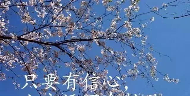 2023九月适合发朋友圈的说说有哪些？如何挑选合适的文案？