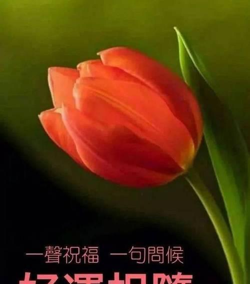 2023九月的心情说说怎么写？分享哪些心情语录？