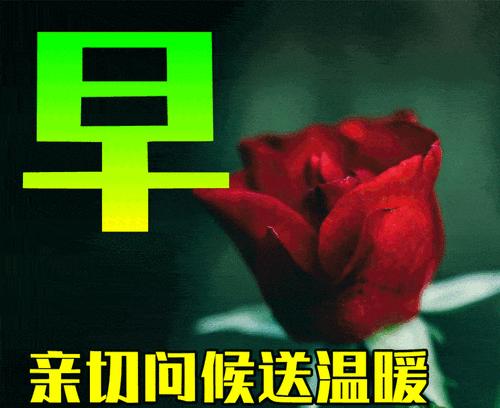 2023九年级中考祝福语标语怎么写？有哪些创意祝福语推荐？
