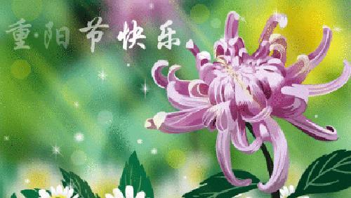 2023九九重阳节微信祝福语怎么写？有哪些创意祝福语推荐？
