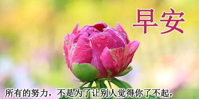 迎接新的一天早安心语好句句子有哪些？如何用早安心语激励自己？