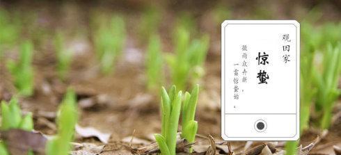 2023年惊蛰节气祝福语有哪些？如何发送问候短信？