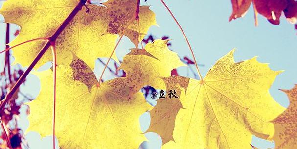 2023今日立秋朋友圈唯美说说怎么发？有哪些创意文案推荐？