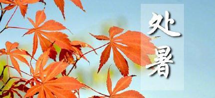 2023处暑节气怎么发朋友圈？有哪些创意文案推荐？