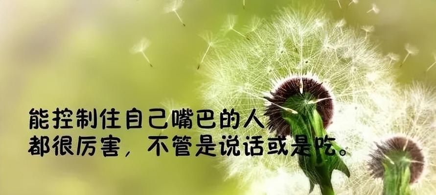 人生最大的快乐名言是什么？如何在生活中实践这些名言？