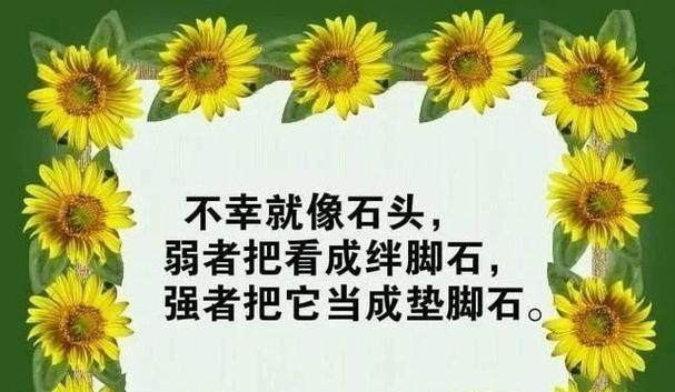 人生哲理感悟的好句有哪些？如何在生活中应用这些智慧？