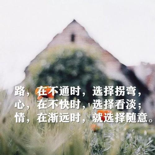 人生哲理的句子有哪些？如何应用到日常生活中？