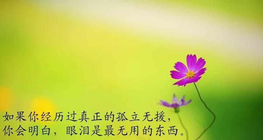 人生经典句子有哪些？如何在生活中应用它们？