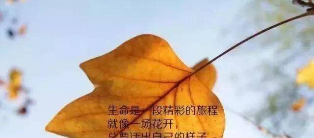 人生感言适合发朋友圈？哪些句子能触动人心？