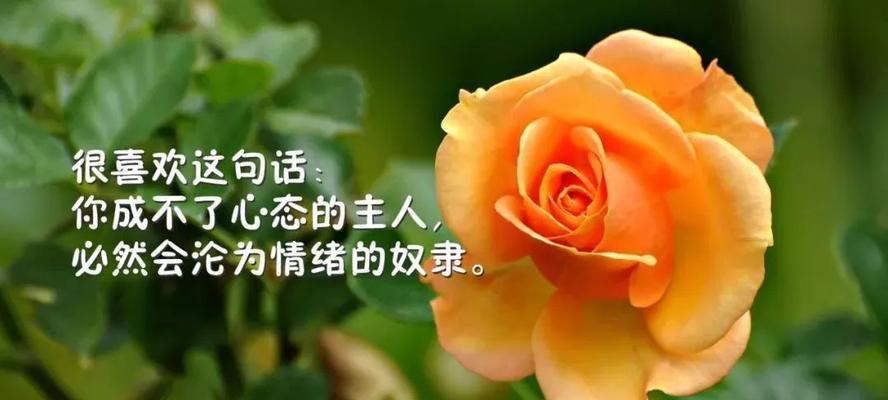 人生感悟哲学的好句子说说心情有哪些？如何用它们来表达心情？