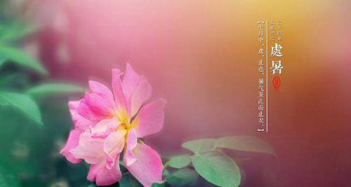 处暑节气如何发送祝福？经典祝福语句子有哪些？