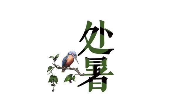 处暑节气如何发送祝福语给朋友？有哪些经典祝福语推荐？