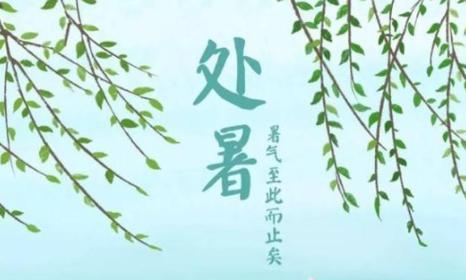 处暑节气祝福语汇总？如何挑选最合适的祝福语？